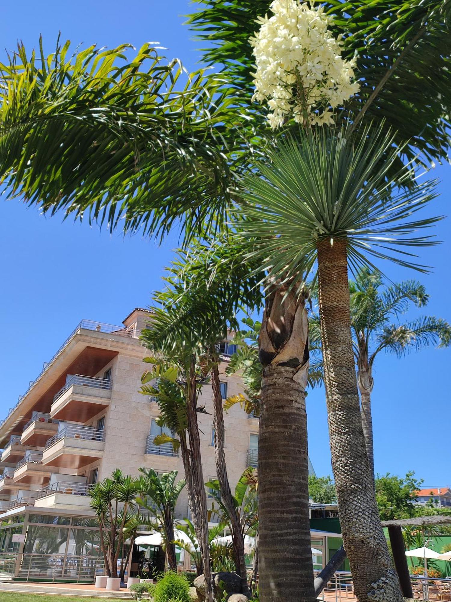 Apartamentos Marsil Montalvo Εξωτερικό φωτογραφία