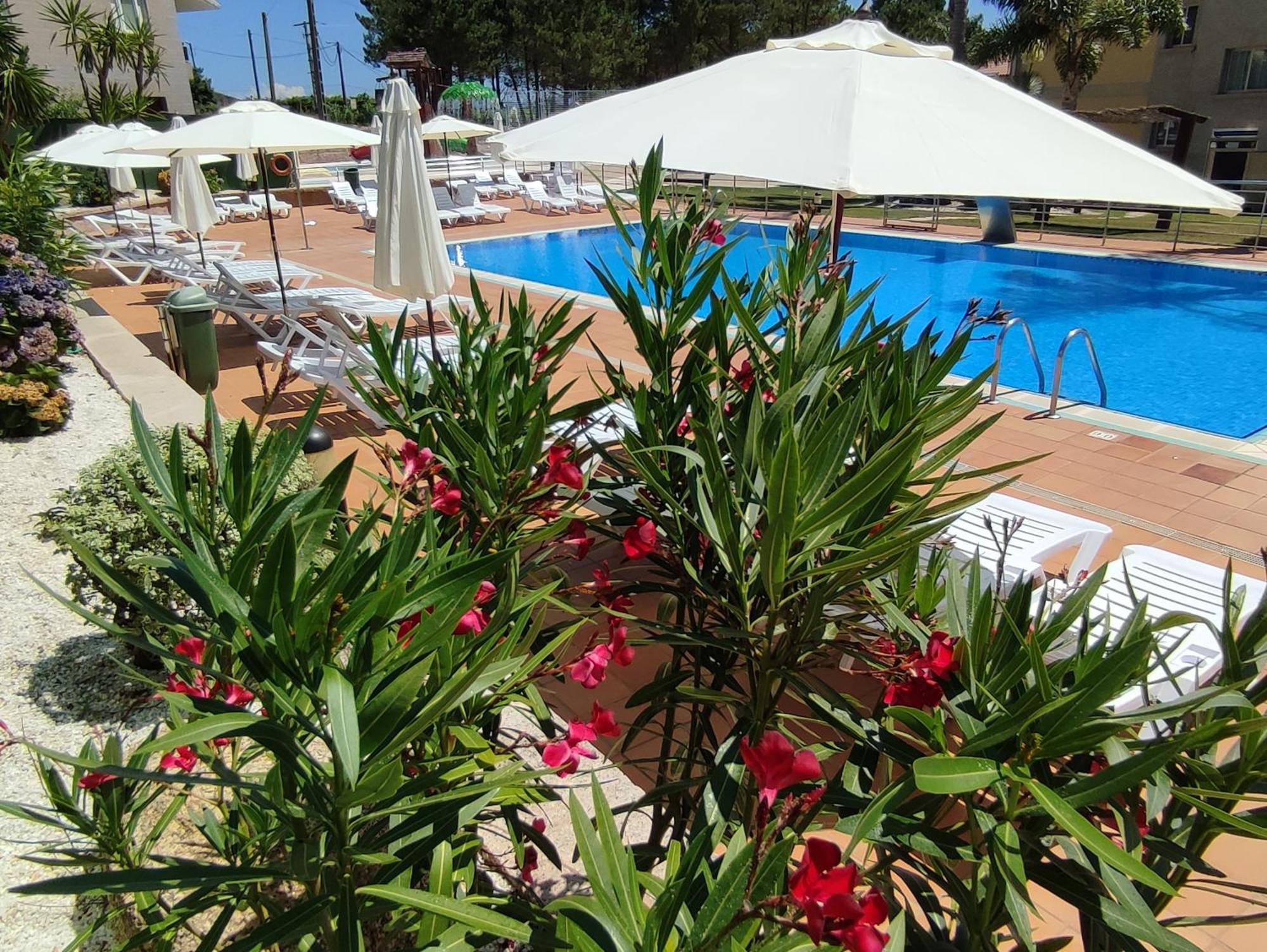 Apartamentos Marsil Montalvo Εξωτερικό φωτογραφία